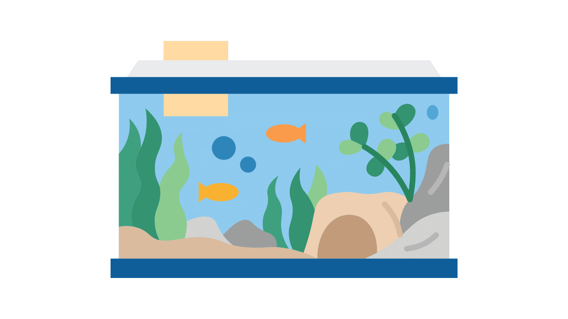 Tips Penting untuk Memelihara Ikan Hias